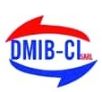 Logo DMIB CI - Sarl - notre avis NUMERIQUARTS